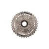 Shimano CS-HG41 Cassette (Silver) (8 Speed) (Shimano/SRAM) (11-30T)